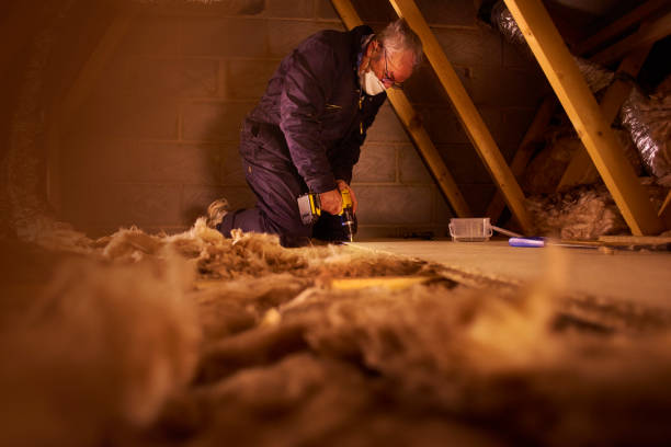 Best Insulation Installation Services in Poplar Bluff, MO